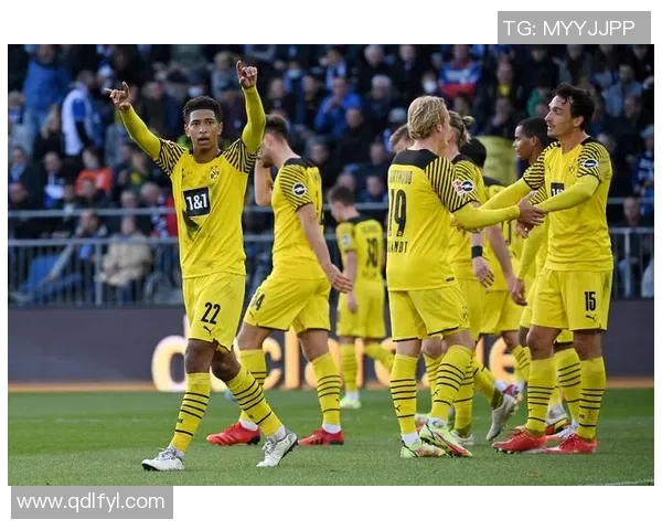 多特蒙德足球俱乐部球星风采展现及未来潜力分析