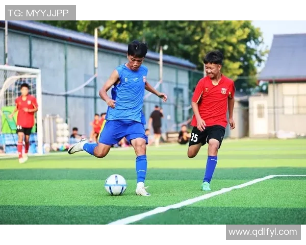 追踪足球73号球星成长历程展现绿茵场上的拼搏与荣耀